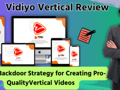 Vidiyo Vertical Review