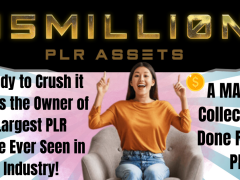 15 Million PLR Assets Review